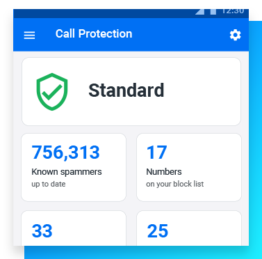 Summary of call protection