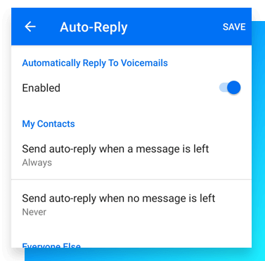 Image of customize auto reply text message.